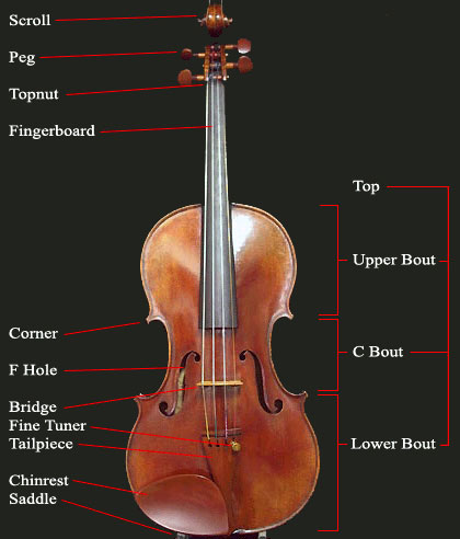 parts of the violin