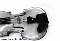 violin