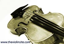 violin