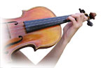 violin